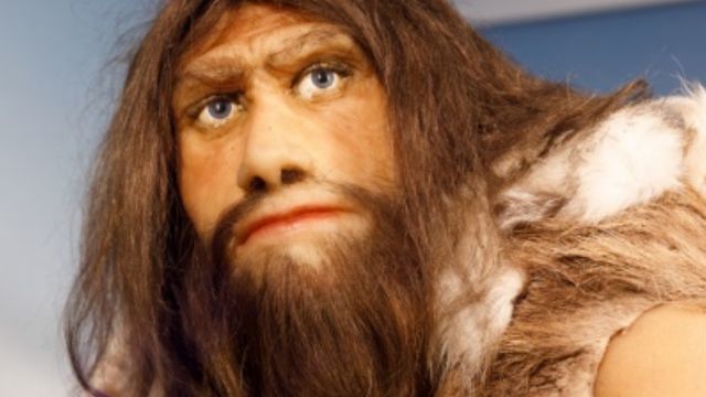 Neandertal, el antepasado de la humanidad actual