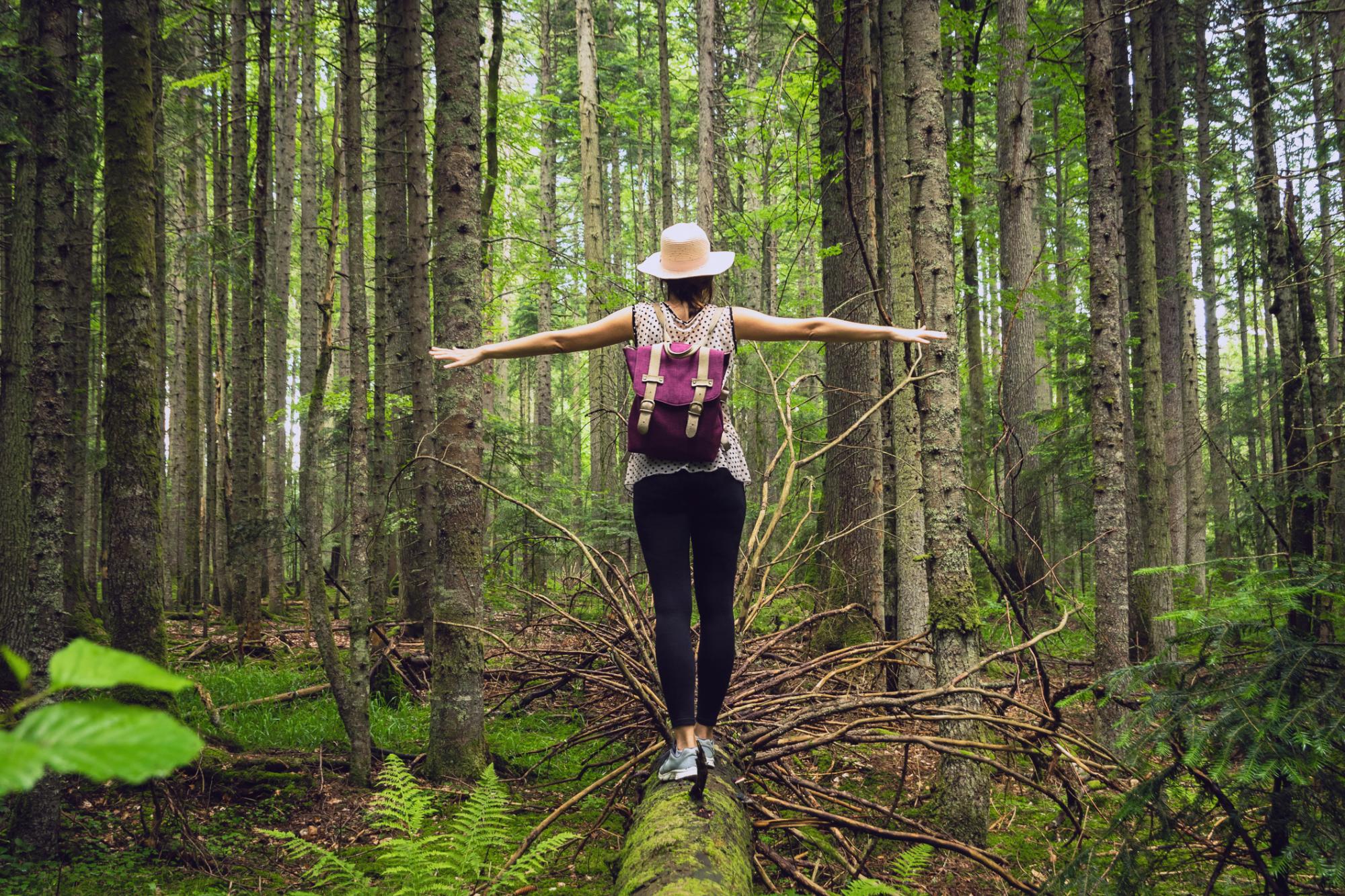 Mujer disfrutando de la naturaleza en medio del bosque. Créditos: AAA Living