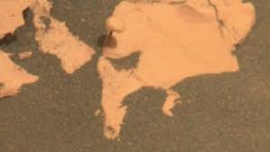 Hongo encontrado por la NASA en Marte. Créditos: NASA