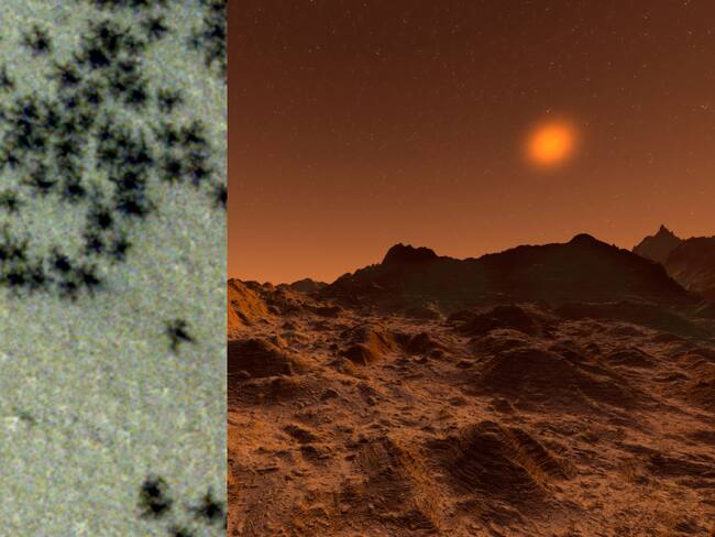 Imagen de referencia de arañas en Marte. Créditos: Getty Images