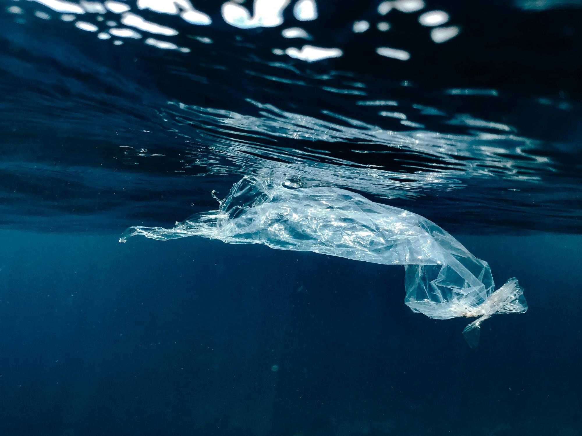 Sin bolsas de plástico es posible: Hoy se conmemora su Día Internacional