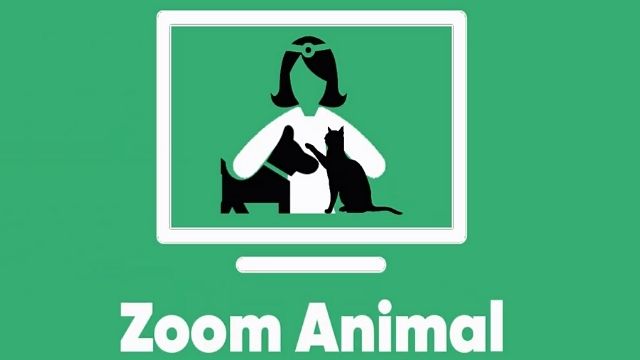 Zoom Animal 