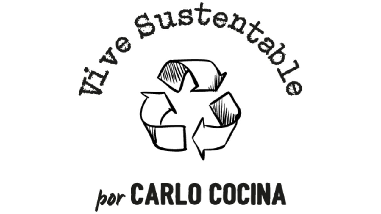 Vive Sustentable 